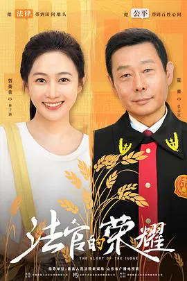 【国产剧】法官的荣耀